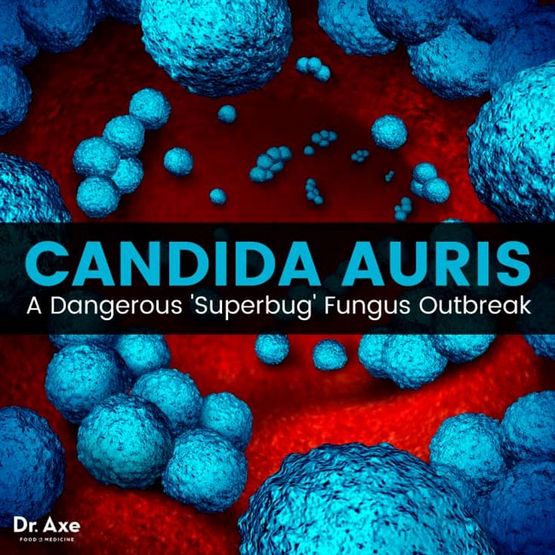 การป้องกัน MRSA - สิ่งที่คุณสามารถทำได้เพื่อป้องกัน MRSA จากการเป็นภัยคุกคามด้านสาธารณสุข